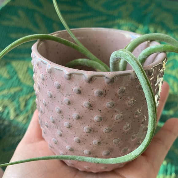 🪴Bundle of 3 mini planters - Picture 8 of 14